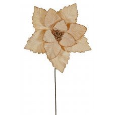 Χριστουγεννιάτικο Λουλούδι Αλεξανδρινό Ζαχαρί (40cm)